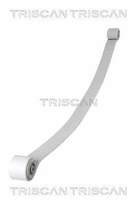 Triscan Federnpaket [Hersteller-Nr. 876523034] für Mercedes-Benz, VW von TRISCAN