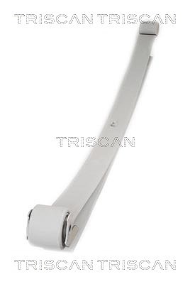 Triscan Federnpaket [Hersteller-Nr. 876528005] für Citroën, Fiat, Peugeot von TRISCAN