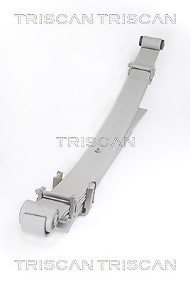 Triscan Federnpaket [Hersteller-Nr. 876542010] für Mitsubishi von TRISCAN