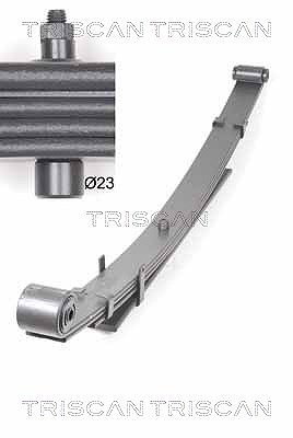Triscan Federnpaket [Hersteller-Nr. 876543003] für Hyundai von TRISCAN
