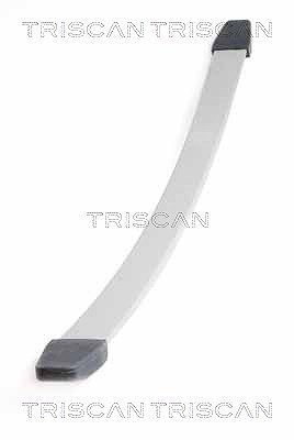 Triscan Federnpaket [Hersteller-Nr. 876510003] für Iveco von TRISCAN
