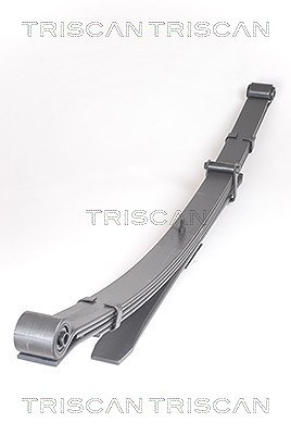 Triscan Federnpaket [Hersteller-Nr. 876514014] für Nissan von TRISCAN