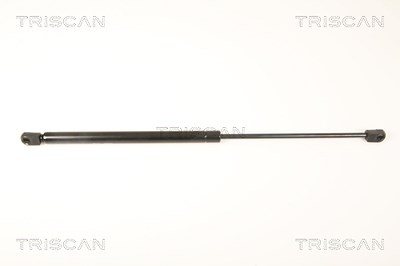 Triscan Gasfeder, Heckscheibe [Hersteller-Nr. 871025251] für Renault von TRISCAN