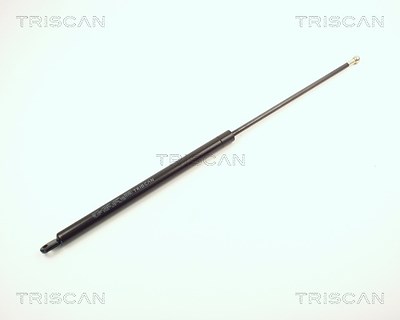 Triscan Gasfeder, Koffer-/Laderaum [Hersteller-Nr. 871012201] für Alfa Romeo von TRISCAN