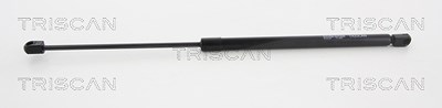 Triscan Gasfeder, Koffer-/Laderaum [Hersteller-Nr. 871011237] für BMW von TRISCAN