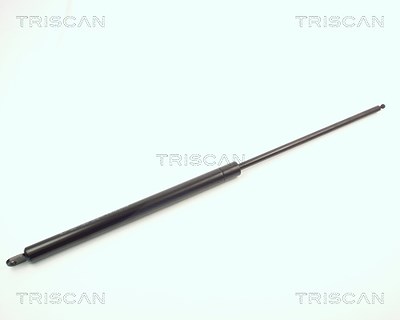 Triscan Gasfeder, Koffer-/Laderaum [Hersteller-Nr. 87103807] für Citroën von TRISCAN