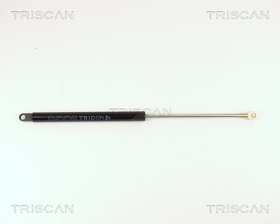 Triscan Gasfeder, Koffer-/Laderaum [Hersteller-Nr. 871015214] für Fiat von TRISCAN