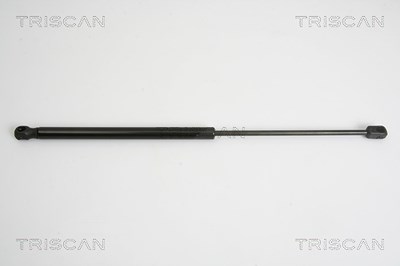Triscan Gasfeder, Koffer-/Laderaum [Hersteller-Nr. 871015238] für Fiat von TRISCAN