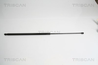 Triscan Gasfeder, Koffer-/Laderaum [Hersteller-Nr. 871015234] für Fiat von TRISCAN