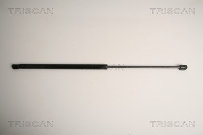 Triscan Gasfeder, Koffer-/Laderaum [Hersteller-Nr. 871016254] für Ford von TRISCAN