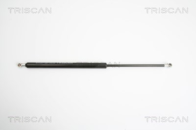 Triscan Gasfeder, Koffer-/Laderaum [Hersteller-Nr. 871016241] für Ford von TRISCAN