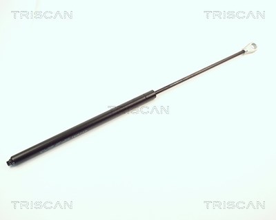 Triscan Gasfeder, Koffer-/Laderaum [Hersteller-Nr. 87101615] für Ford von TRISCAN
