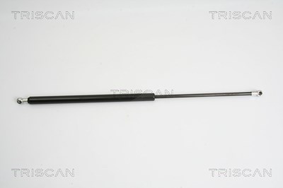 Triscan Gasfeder, Koffer-/Laderaum [Hersteller-Nr. 871016246] für Ford von TRISCAN
