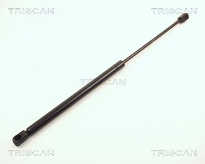 Triscan Gasfeder, Koffer-/Laderaum [Hersteller-Nr. 87101607] für Ford von TRISCAN