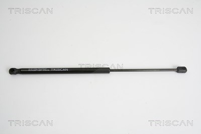 Triscan Gasfeder, Koffer-/Laderaum [Hersteller-Nr. 871010206] für Citroën, Mitsubishi, Peugeot, Seat von TRISCAN