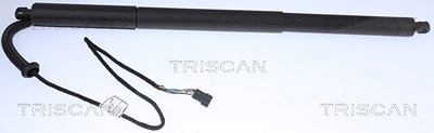 Triscan Gasfeder, Koffer-/Laderaum [Hersteller-Nr. 871011305] für BMW von TRISCAN