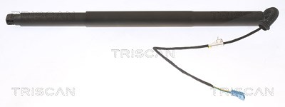 Triscan Gasfeder, Koffer-/Laderaum [Hersteller-Nr. 871011312] für BMW von TRISCAN