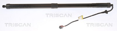 Triscan Gasfeder, Koffer-/Laderaum [Hersteller-Nr. 871011313] für BMW von TRISCAN