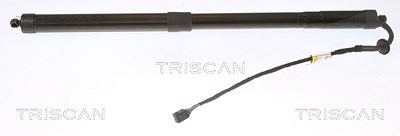 Triscan Gasfeder, Koffer-/Laderaum [Hersteller-Nr. 871020303] für Porsche von TRISCAN