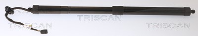 Triscan Gasfeder, Koffer-/Laderaum [Hersteller-Nr. 871027308] für Volvo von TRISCAN