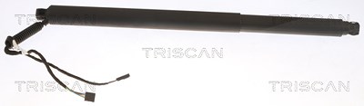 Triscan Gasfeder, Koffer-/Laderaum [Hersteller-Nr. 871029312] für Skoda von TRISCAN