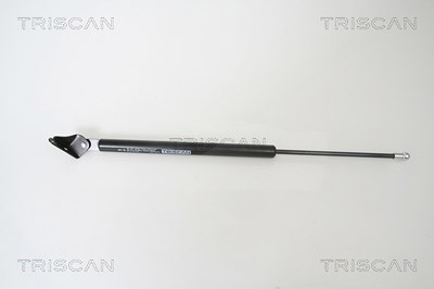 Triscan Gasfeder, Koffer-/Laderaum [Hersteller-Nr. 871050239] für Mazda von TRISCAN