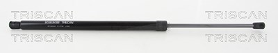 Triscan Gasfeder, Koffer-/Laderaum [Hersteller-Nr. 871043240] für Hyundai von TRISCAN
