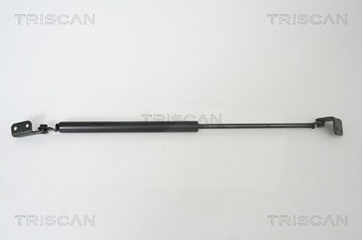 Triscan Gasfeder, Koffer-/Laderaum [Hersteller-Nr. 871043221] für Hyundai von TRISCAN