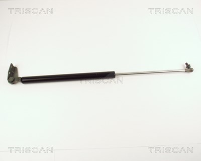 Triscan Gasfeder, Koffer-/Laderaum [Hersteller-Nr. 871050213] für Mazda von TRISCAN
