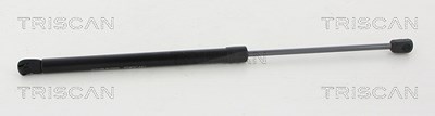Triscan Gasfeder, Koffer-/Laderaum [Hersteller-Nr. 871011247] für Mini von TRISCAN