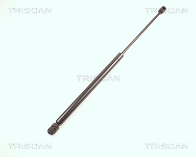 Triscan Gasfeder, Koffer-/Laderaum [Hersteller-Nr. 871017205] für Mini von TRISCAN