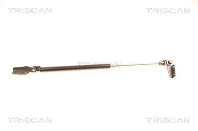 Triscan Gasfeder, Koffer-/Laderaum [Hersteller-Nr. 871014232] für Nissan von TRISCAN