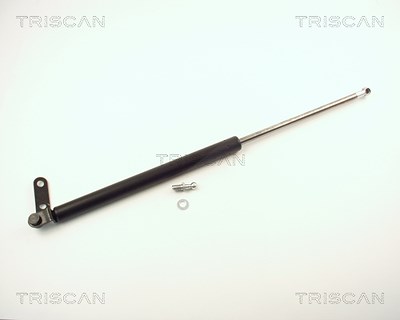 Triscan Gasfeder, Koffer-/Laderaum [Hersteller-Nr. 871014219] für Nissan von TRISCAN