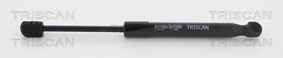 Triscan Gasfeder, Koffer-/Laderaum [Hersteller-Nr. 871014251] für Nissan von TRISCAN