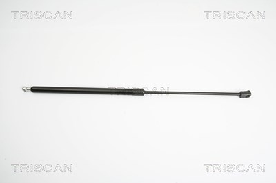 Triscan Gasfeder, Koffer-/Laderaum [Hersteller-Nr. 871024231] für Opel, Vauxhall von TRISCAN