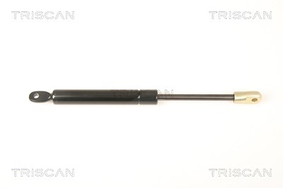 Triscan Gasfeder, Koffer-/Laderaum [Hersteller-Nr. 871020201] für Porsche von TRISCAN