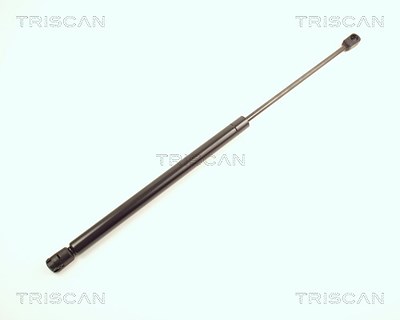 Triscan Gasfeder, Koffer-/Laderaum [Hersteller-Nr. 871025207] für Renault von TRISCAN