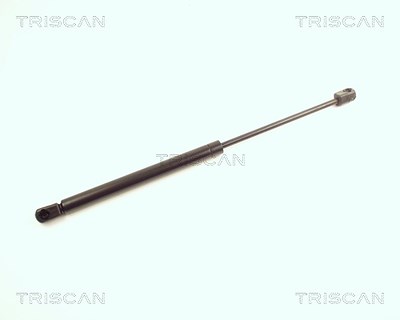 Triscan Gasfeder, Koffer-/Laderaum [Hersteller-Nr. 871025216] für Renault von TRISCAN