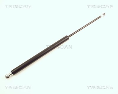 Triscan Gasfeder, Koffer-/Laderaum [Hersteller-Nr. 871025209] für Dacia, Renault von TRISCAN
