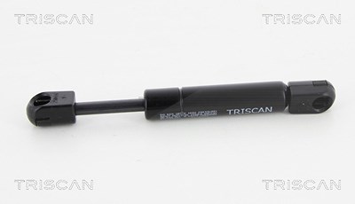 Triscan Gasfeder, Koffer-/Laderaum [Hersteller-Nr. 871025262] für Renault von TRISCAN