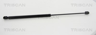 Triscan Gasfeder, Koffer-/Laderaum [Hersteller-Nr. 871068213] für Subaru von TRISCAN