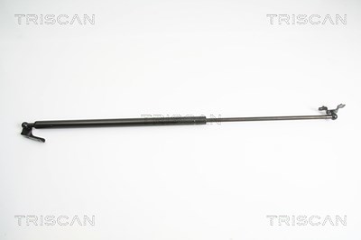 Triscan Gasfeder, Koffer-/Laderaum [Hersteller-Nr. 871013218] für Toyota von TRISCAN