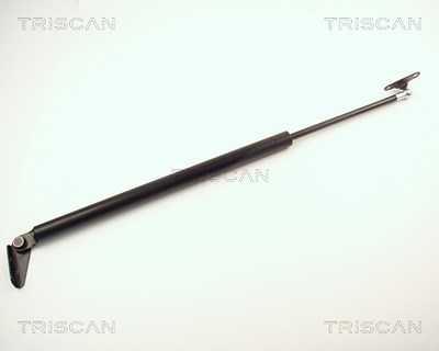 Triscan Gasfeder, Koffer-/Laderaum [Hersteller-Nr. 871013244] für Toyota von TRISCAN