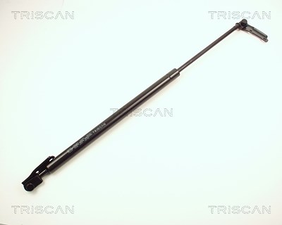 Triscan Gasfeder, Koffer-/Laderaum [Hersteller-Nr. 871013225] für Toyota von TRISCAN