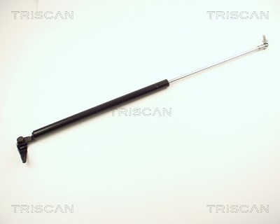 Triscan Gasfeder, Koffer-/Laderaum [Hersteller-Nr. 871013245] für Toyota von TRISCAN