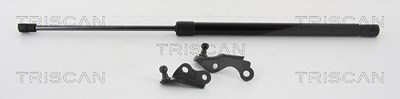 Triscan Gasfeder, Koffer-/Laderaum [Hersteller-Nr. 871013288] für Toyota von TRISCAN