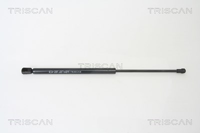 Triscan Gasfeder, Koffer-/Laderaum [Hersteller-Nr. 871029267] für VW von TRISCAN