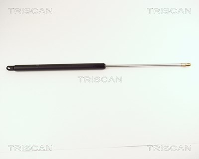 Triscan Gasfeder, Koffer-/Laderaum [Hersteller-Nr. 87102904] für VW von TRISCAN