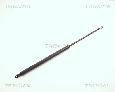Triscan Gasfeder, Koffer-/Laderaum [Hersteller-Nr. 87102902] für VW von TRISCAN