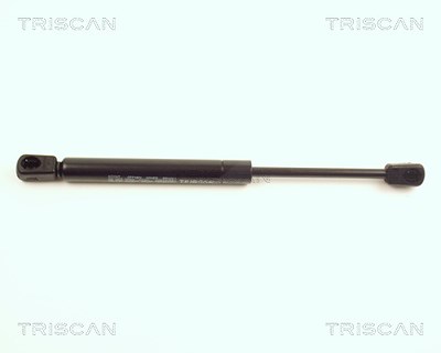 Triscan Gasfeder, Motorhaube [Hersteller-Nr. 871029113] für Audi von TRISCAN